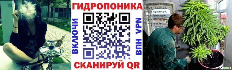 kraken ссылки  Кинель  Шишки марихуана тримм 